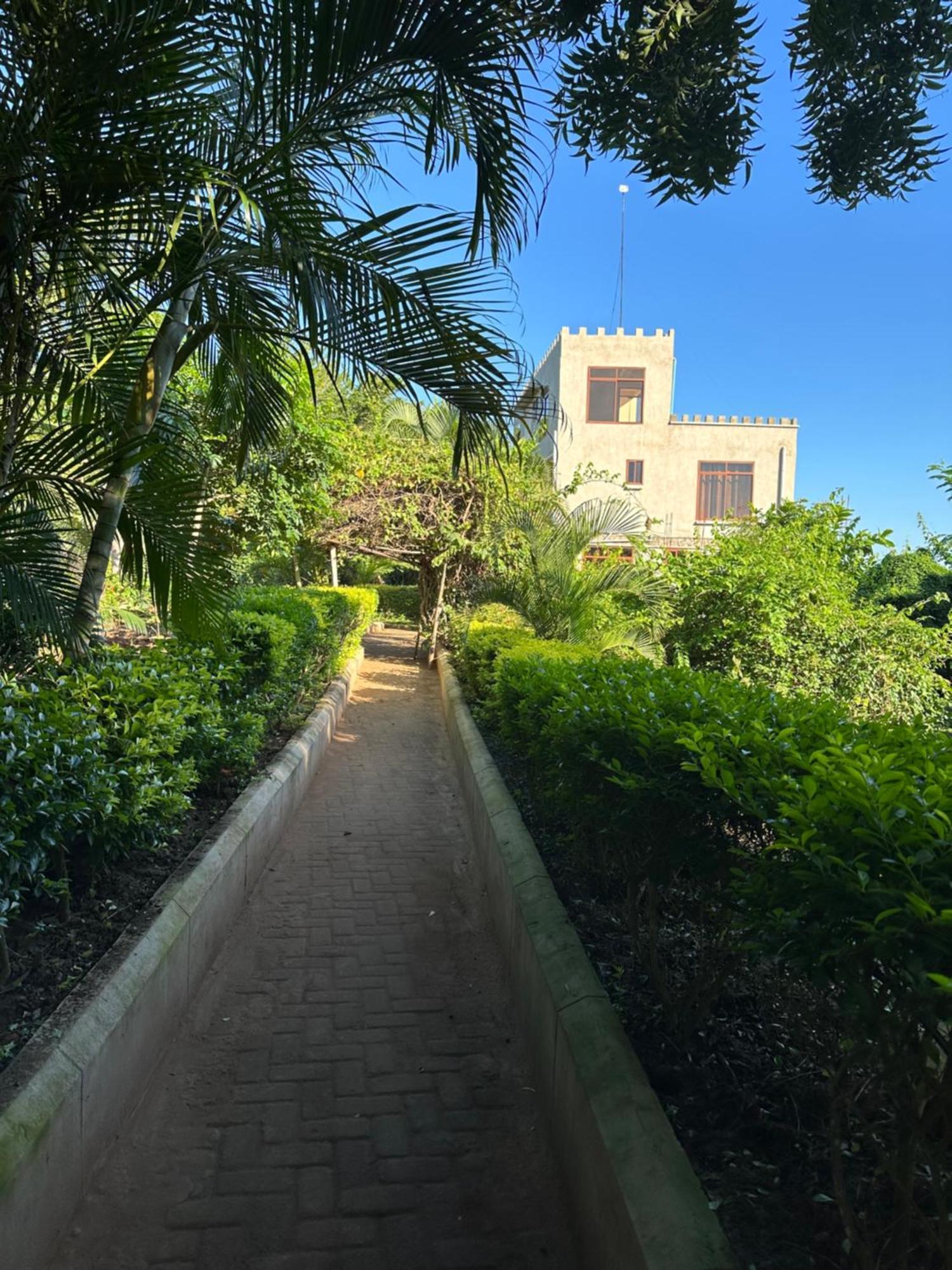 Mikoko Beach & Cottages Bagamoyo Exterior foto
