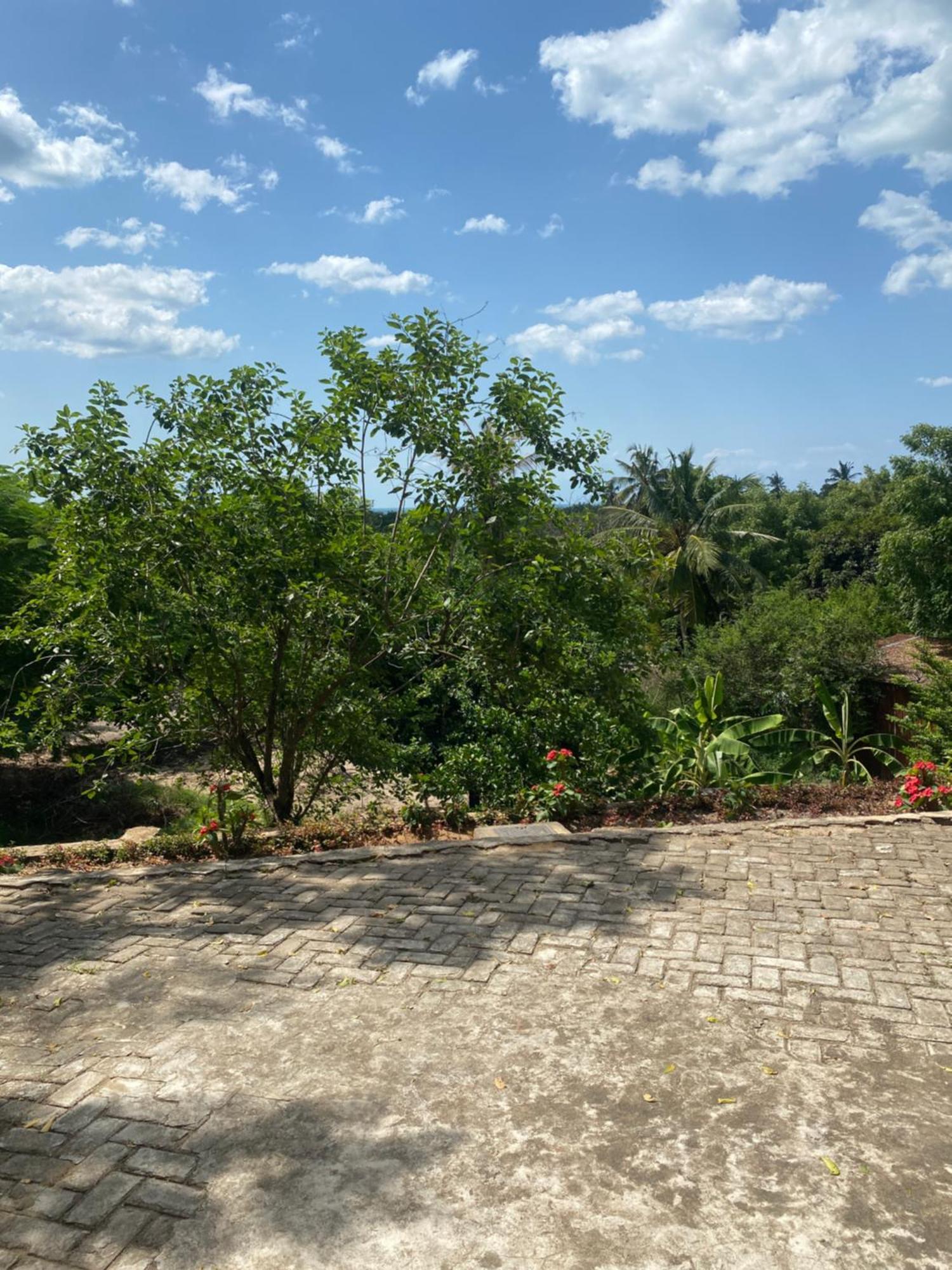 Mikoko Beach & Cottages Bagamoyo Exterior foto
