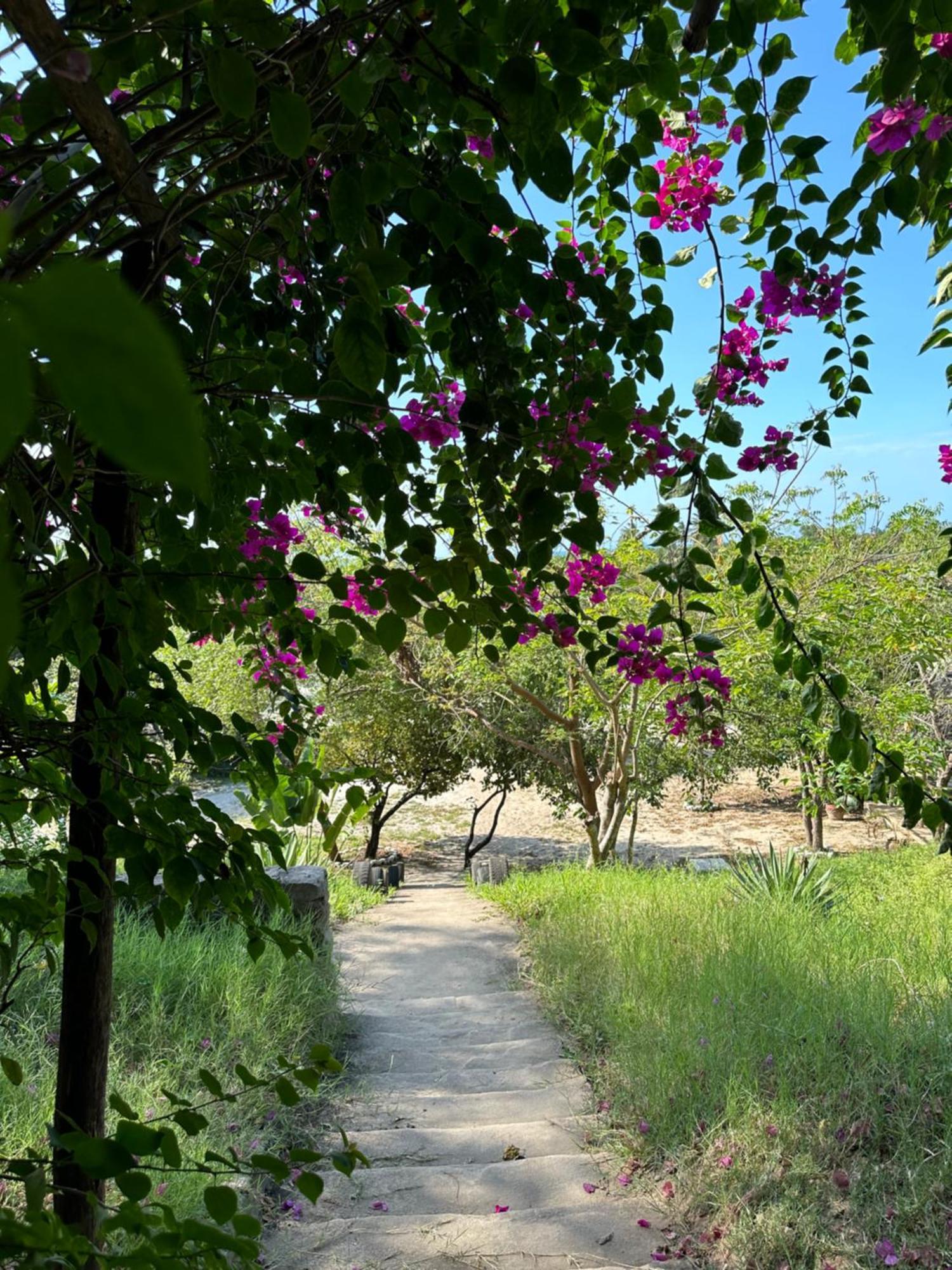 Mikoko Beach & Cottages Bagamoyo Exterior foto